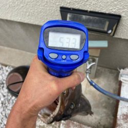 良型のコアラキャッチ