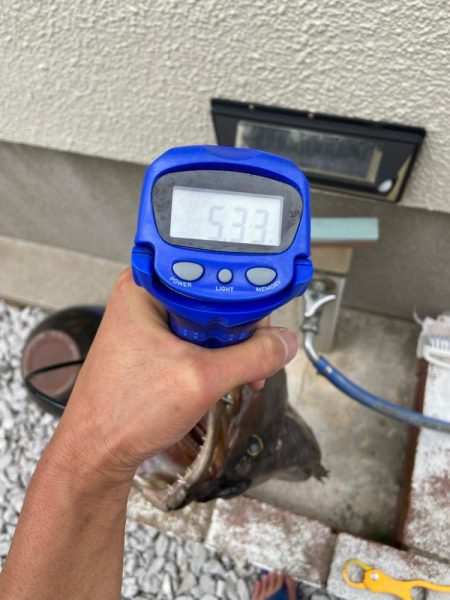 良型のコアラキャッチ