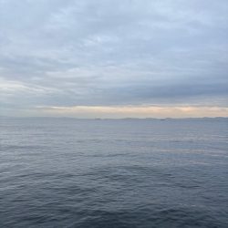 サゴシシーズン