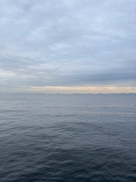 サゴシシーズン