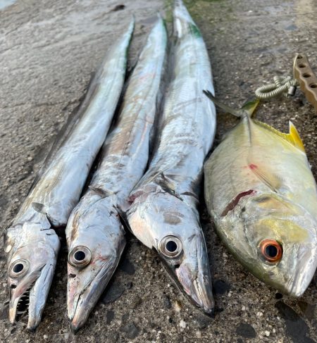 かけれず、、、