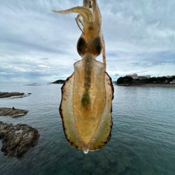 ショアジギング