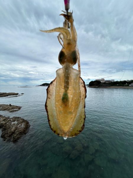 ショアジギング