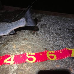 久しぶりにお会いできました