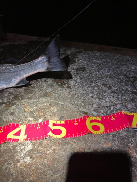 久しぶりにお会いできました