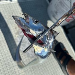 初の紀北ジギング！