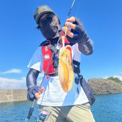 デイエギングへ