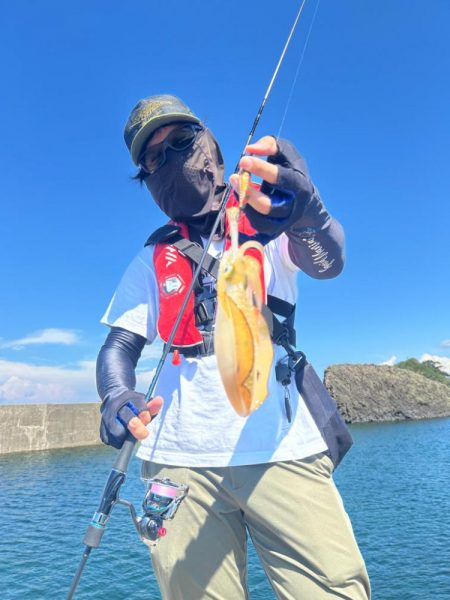 デイエギングへ