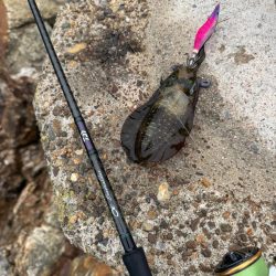 待ち時間にちょいエギング