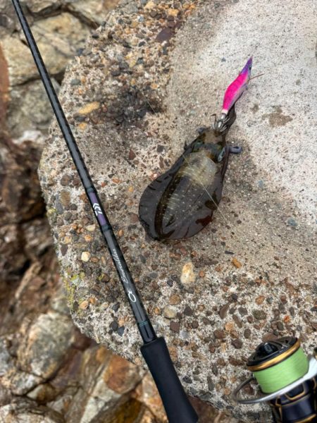 待ち時間にちょいエギング