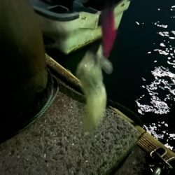 フルムーンに誘われて