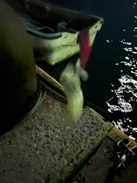 フルムーンに誘われて