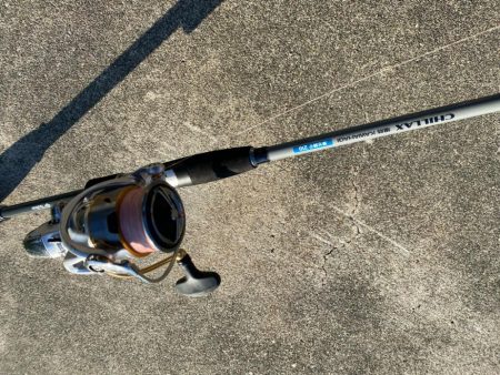 音速アワセのシロギスタ