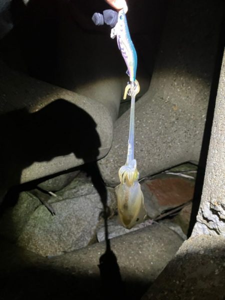 秋🦑楽しい ②