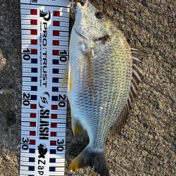 朝1ヒットは気持ちいい!