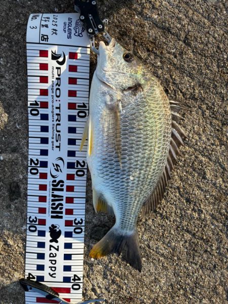 朝1ヒットは気持ちいい!