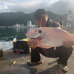 沼津市戸田港フカセ釣り 大型ウスバハギ