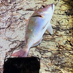 フロートアジング