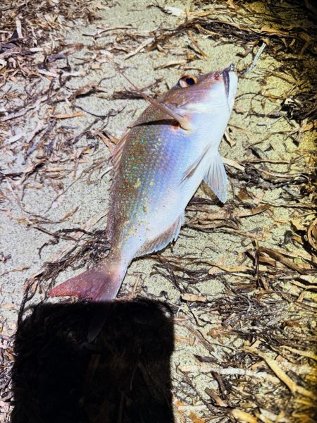 フロートアジング