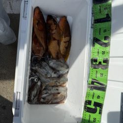 夏を感じつつ秋シーズン開幕！！！