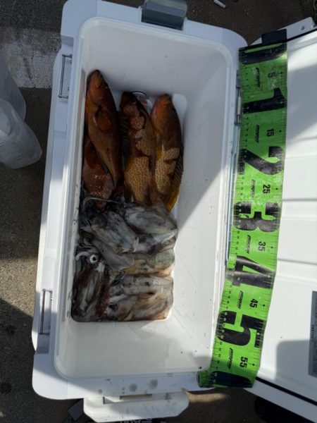 夏を感じつつ秋シーズン開幕！！！