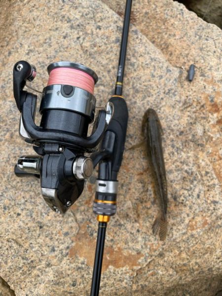 淀川ハゼ釣り大会2025