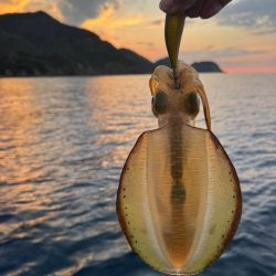 昼すぎから海上散歩