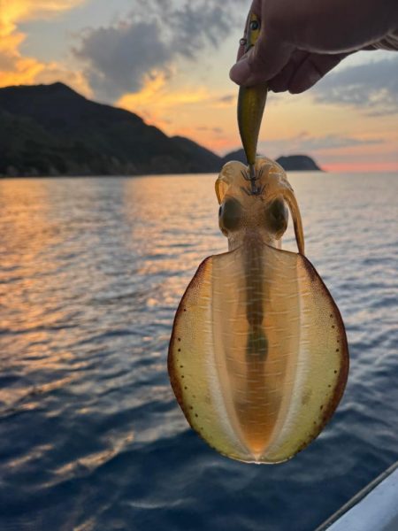 昼すぎから海上散歩