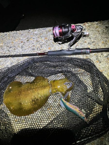 秋🦑釣り楽しい😊