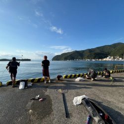 沼津市フカセ釣り