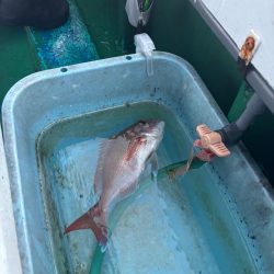 明石からひとつテンヤ　