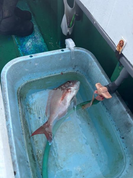 明石からひとつテンヤ　