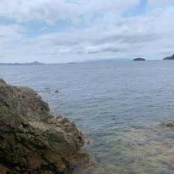 まだまだ小さい