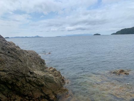 まだまだ小さい