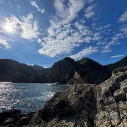 ニューロッドの鱗付け