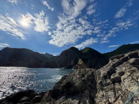 ニューロッドの鱗付け