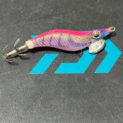 秋イカ　エギング