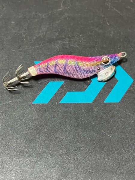 秋イカ　エギング