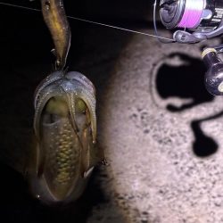 釣り人が多過ぎるエギング