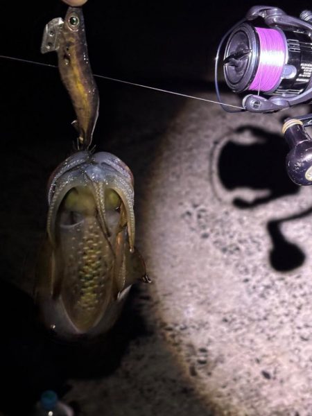 釣り人が多過ぎるエギング