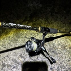 ナイトエギング