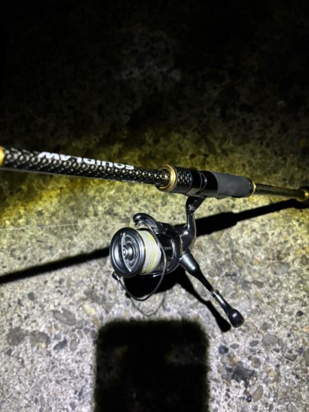 ナイトエギング