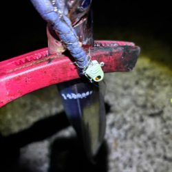 秋タチウオ 狙い