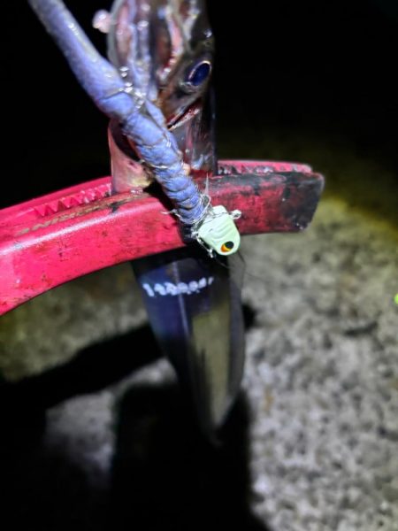 秋タチウオ 狙い