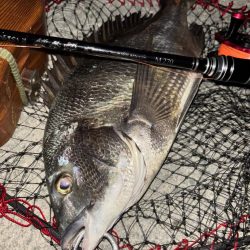 ヘチってきました