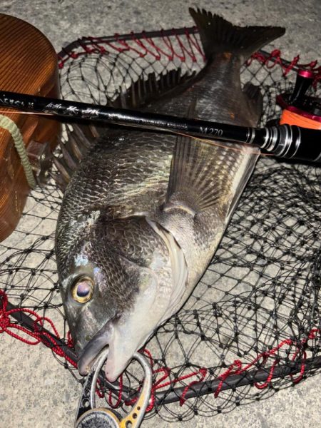 ヘチってきました