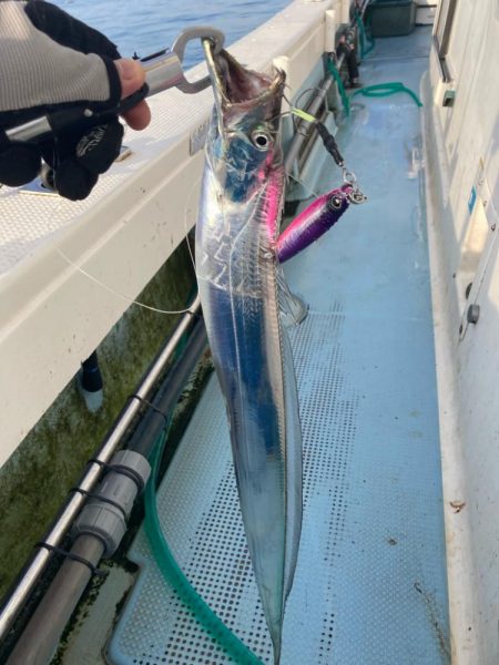 青物まだ夏パターン。タチウオ は元気。