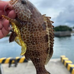 ショアジギング