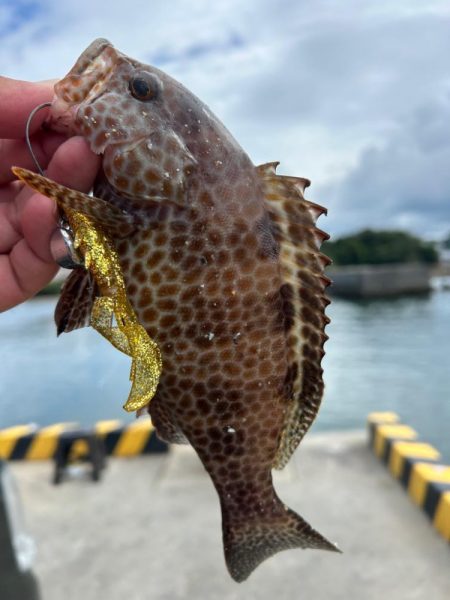 ショアジギング