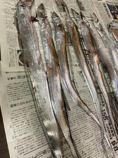 マリーナで太刀魚〜！